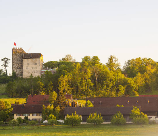Schloss Habsburg 