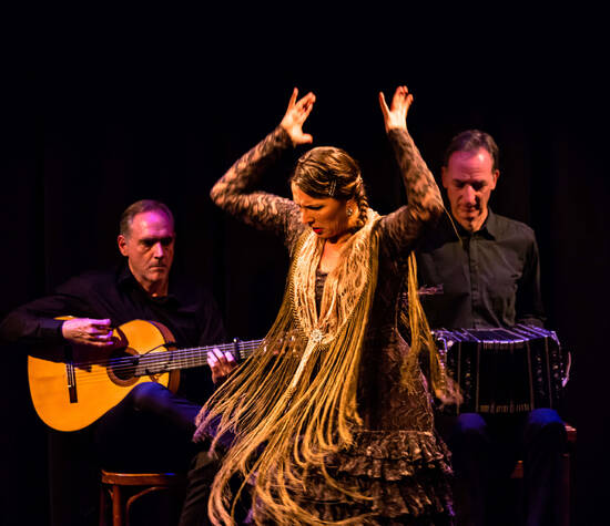 www.flamenco.ch
Sina de Alicia Auftritte und Unterricht