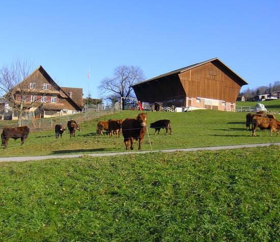 Beispiel: Aussenansicht Bauernhof, Foto: Hof-Landschi.