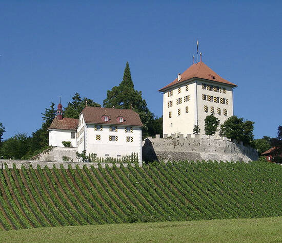 Beispiel: Außenansicht, Foto: Schloss Heidegg.