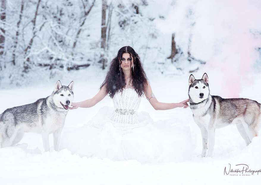 Hochzeit im Schnee – Traumhafte Bilder mit Huskys!