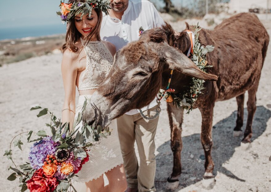 Mit Hochzeitsplanerin Sandra vernachlässigte Esel auf Santorini unterstützen