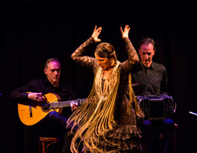 Sina Flamenco