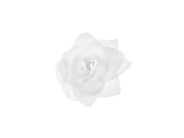 Autoschmuck Weiße Rosen für Hochzeitsdekoration: 24 Stk.